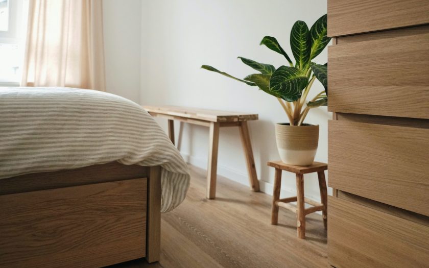 green plant on brown wooden table