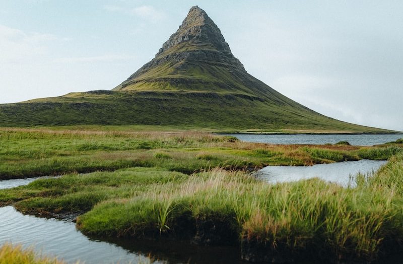 a grassy field with a mountain in the background